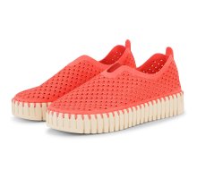 RASP 890